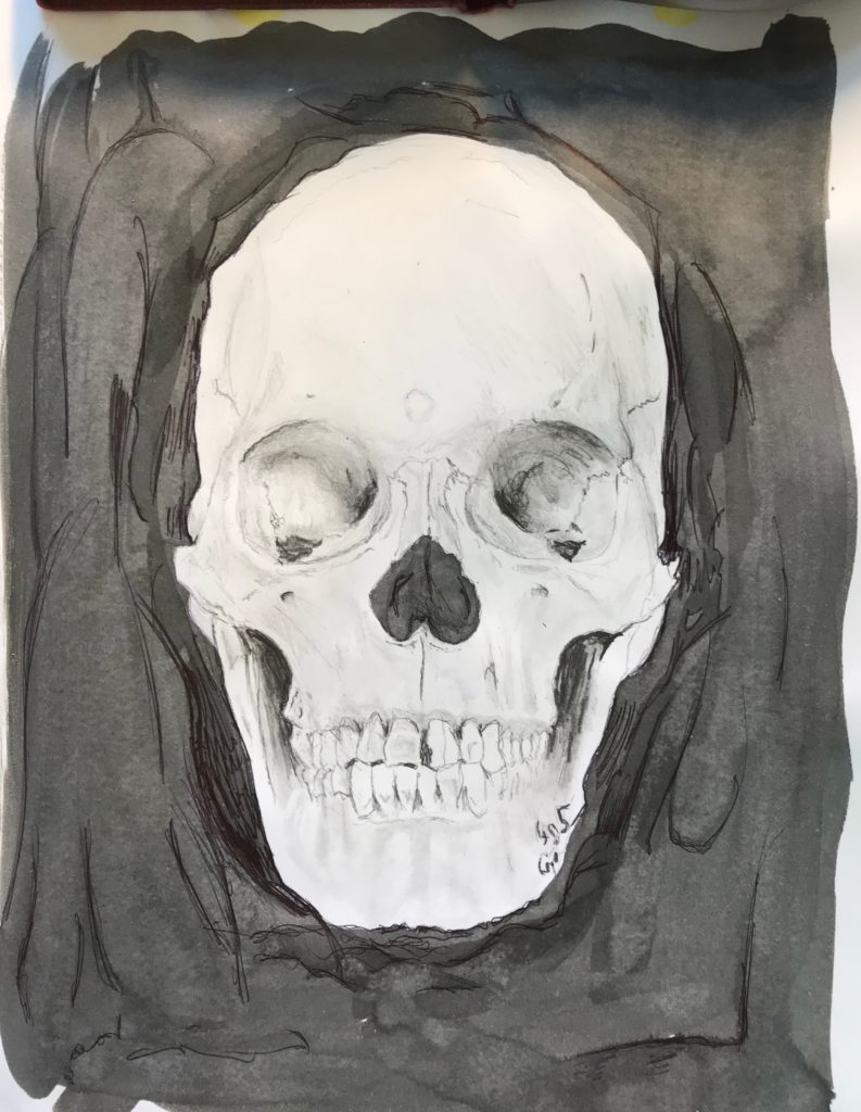 Homo Sapien skull